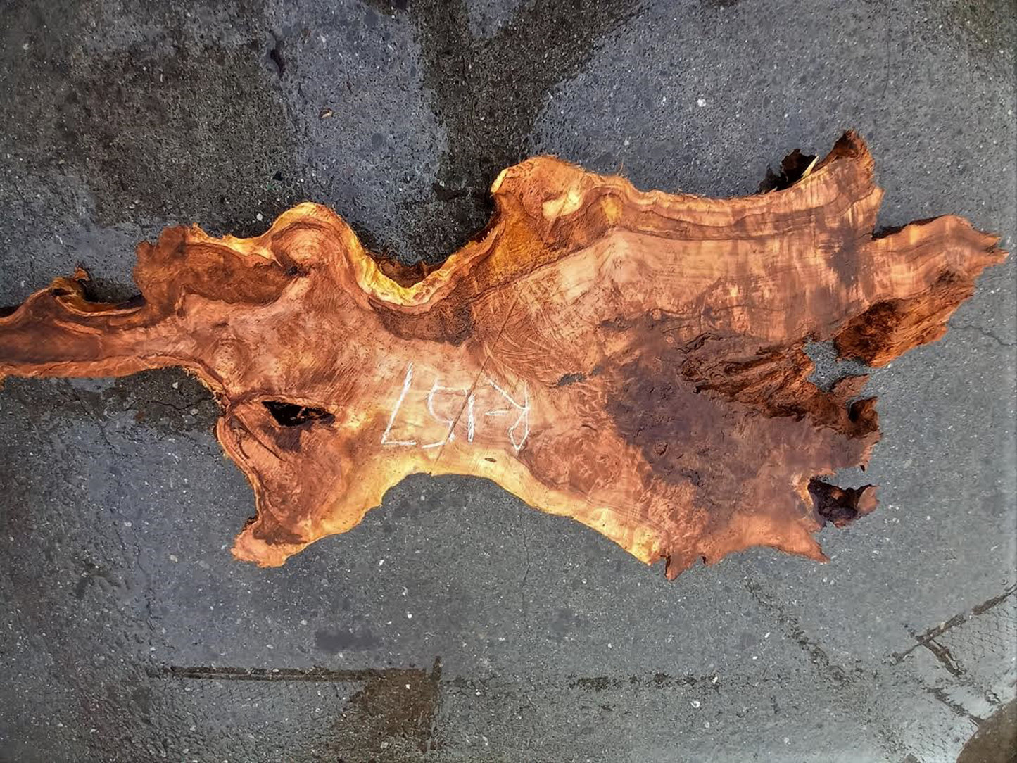 Redwood burl | live edge slab | resin river tabes | DIY wood | R-157