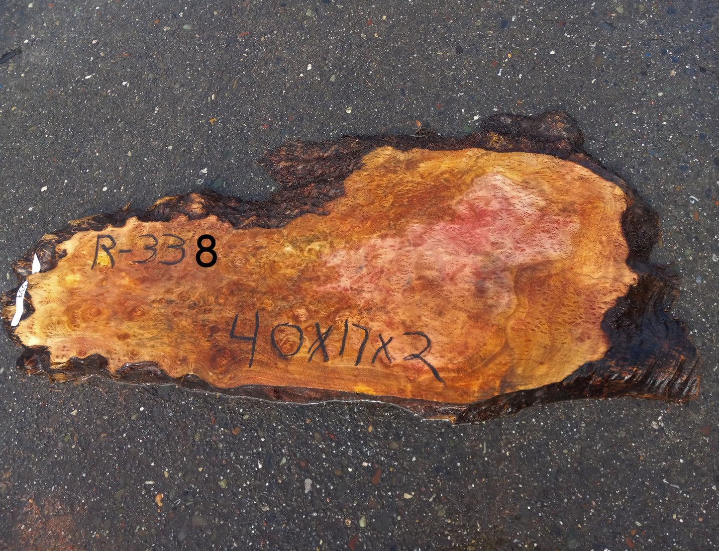 Redwood lace burl | live edge slab | DIY wood crafts | craft wood | r338
