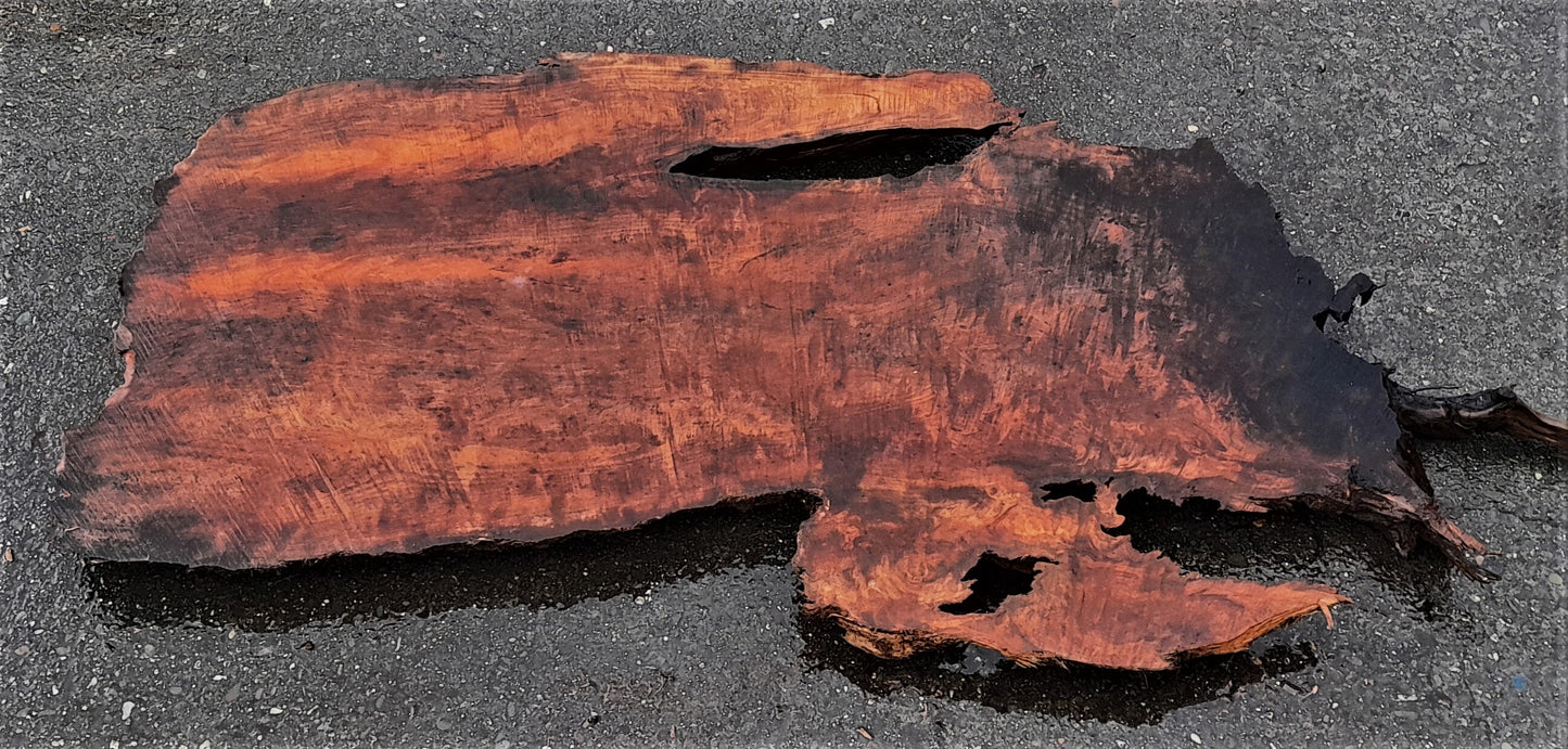 redwood burl slab | epoxy river table | Headboard | DIY wood crafts | r-394