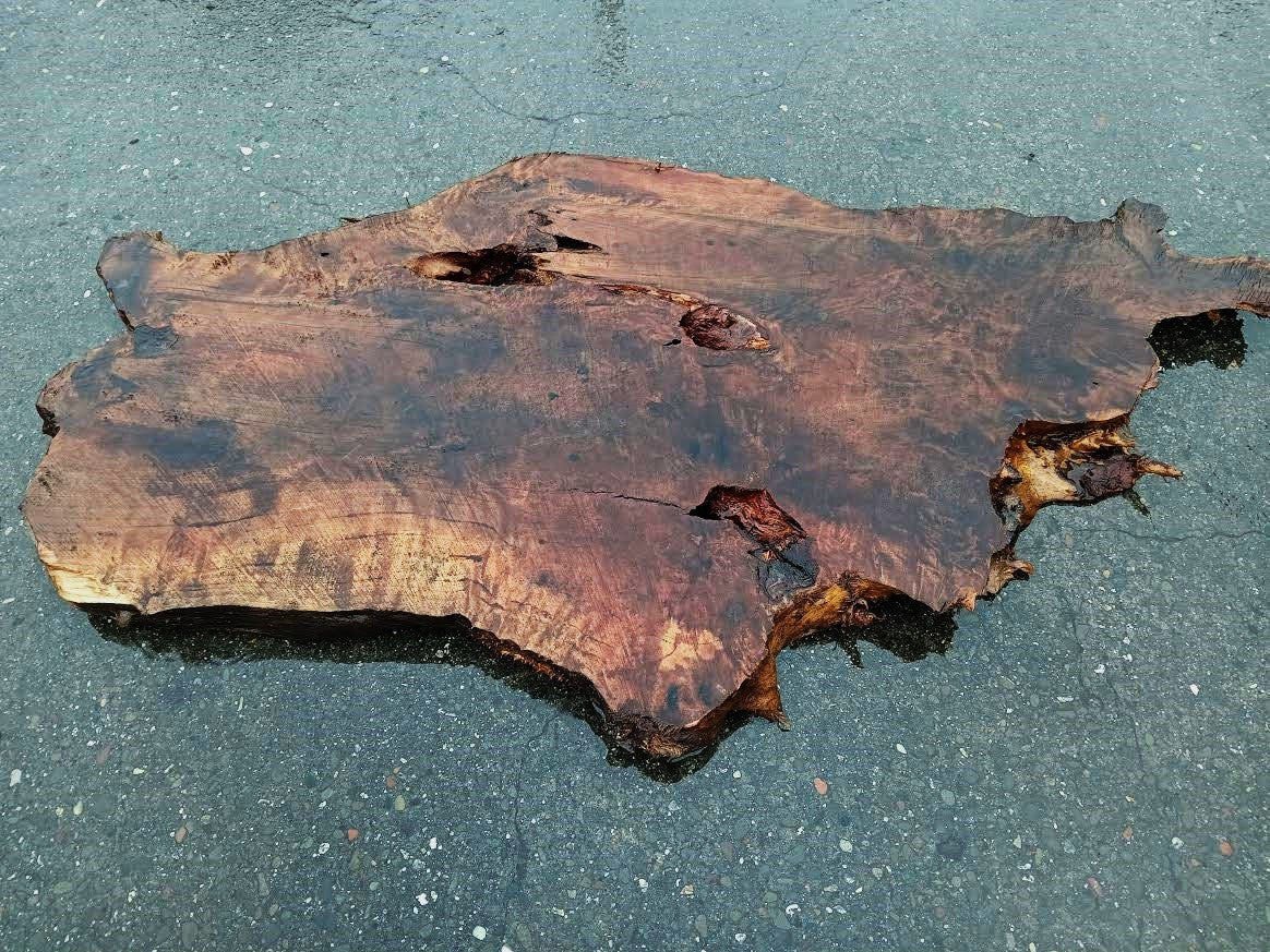 Redwood Burl Slab | DIY craft wood | live Table | Redwood | R22-0385