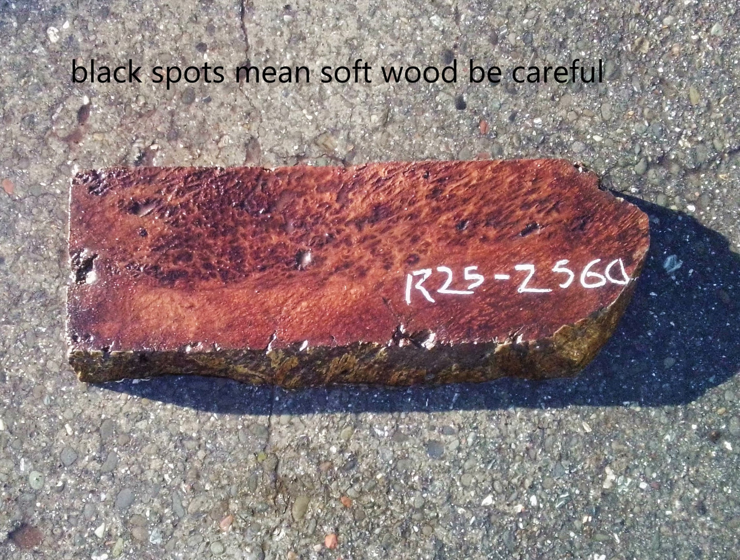 Redwood Burl Block | Lace Burl | DIY | Turning Wood | R25-2560