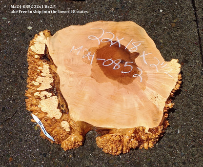 Maple Burl Slab | Cookie Cut | Craft Woods | DIY | River Table | Ma24-0852