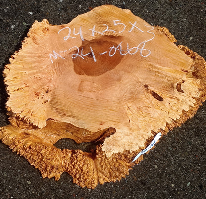 Maple Burl Slab | Cookie Cut | Craft Woods | DIY | River Table | MA24-0868