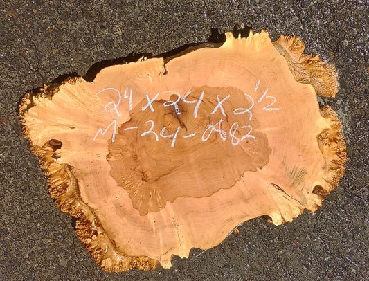 Maple Burl Slab | Cookie Cut | Craft Woods | DIY | River Table | MA24-0882