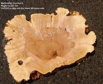 Maple Burl Slab | Cookie Cut | Craft Woods | DIY | River Table | MA24-0882