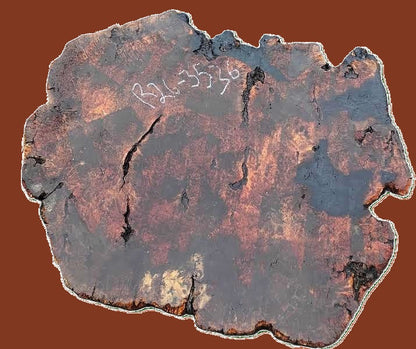 Redwood Lace Burl | DIY | Craft Wood | Table | R26-3536