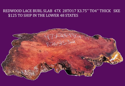 Redwood Lace Burl Slab | DIY | Craft Wood | Table | R26-3532
