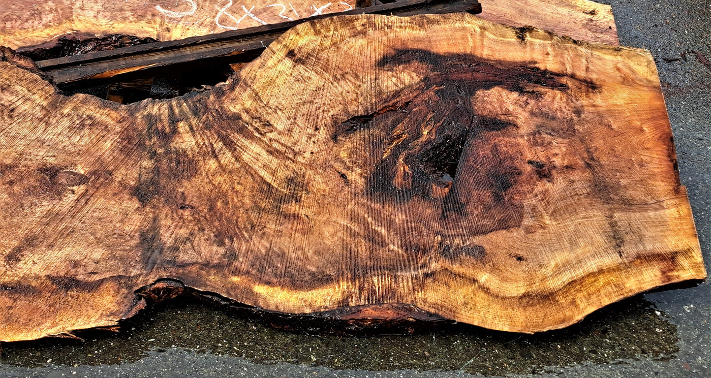 lace burl redwood l river table | wood turning | live edge slab | r-361