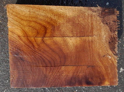 Myrtle blank | DIY craft wood | bl5067