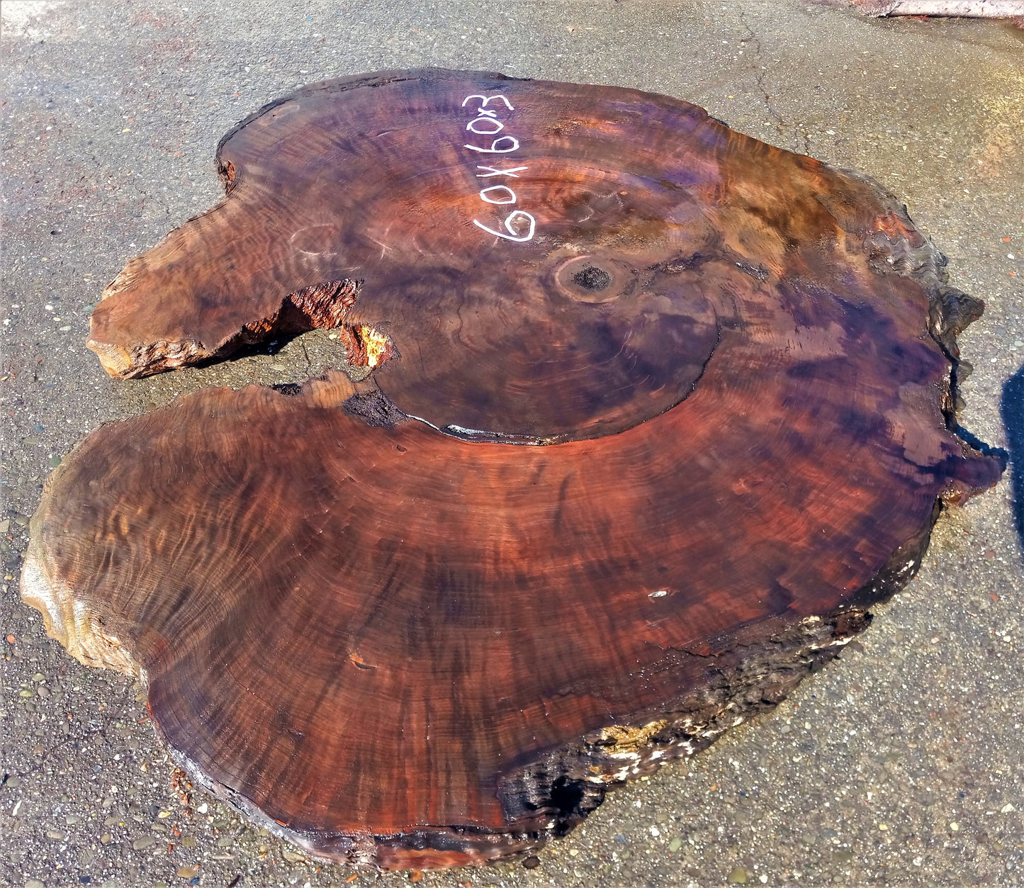 curly redwood l epoxy river table | live edge slab | bunion burl | 60"rd