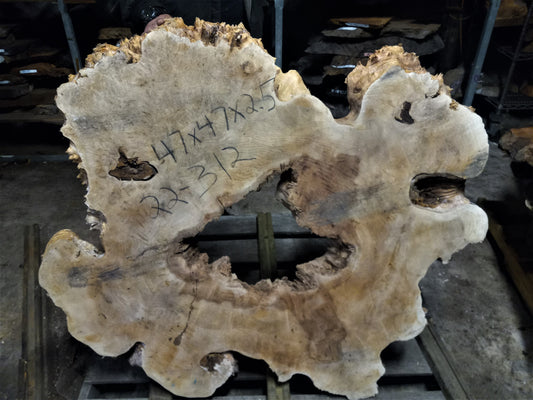 Maple burl | cookie cut | epoxy river table | DIY wood |  burl table | 22-312