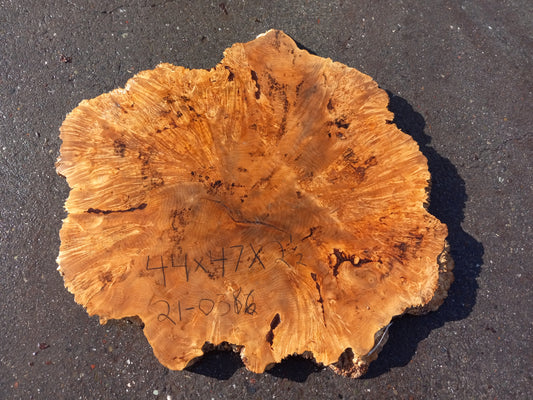 Maple burl | cookie cut | craft woods | DIY crafts | river table | 21-0386