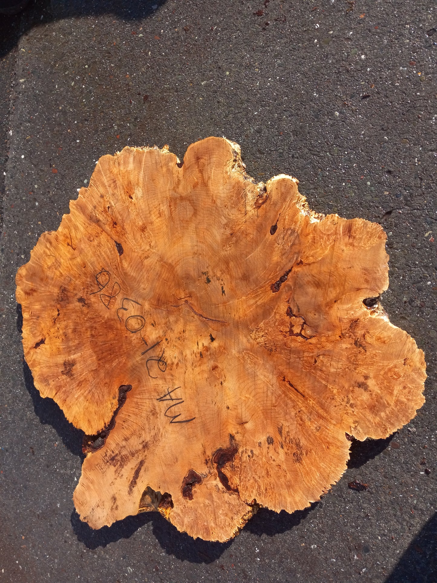 Maple burl | cookie cut | craft woods | DIY crafts | river table | 21-0386