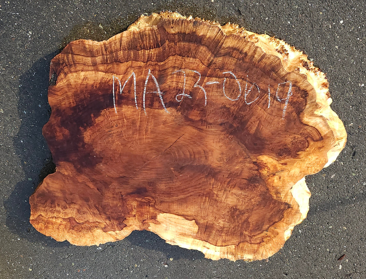 Maple burl | cookie cut | craft woods | DIY | river table | ma23-0619