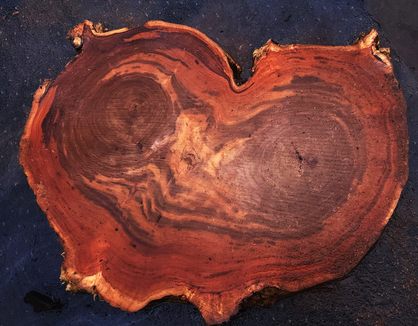 Mappa Poplar slab | live edge | cookie cut | DIY | p24-1553