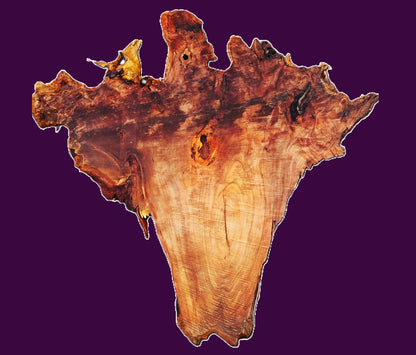 Redwood burl slab | DIY | burl table | burl slab | 21-0228