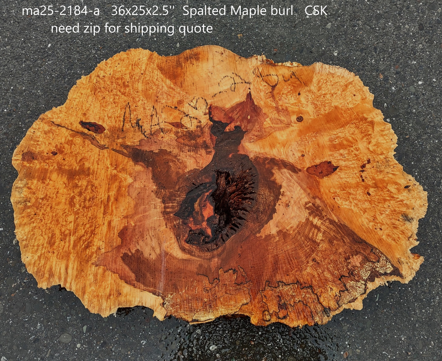 Spalted Maple Burl | Cookie Cut | River Table | DIY |  MA25-2184