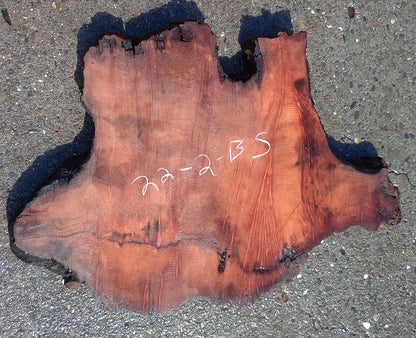 Redwood Burl | DIY Craft Wood | Table | Old Growth | 22-2-bs