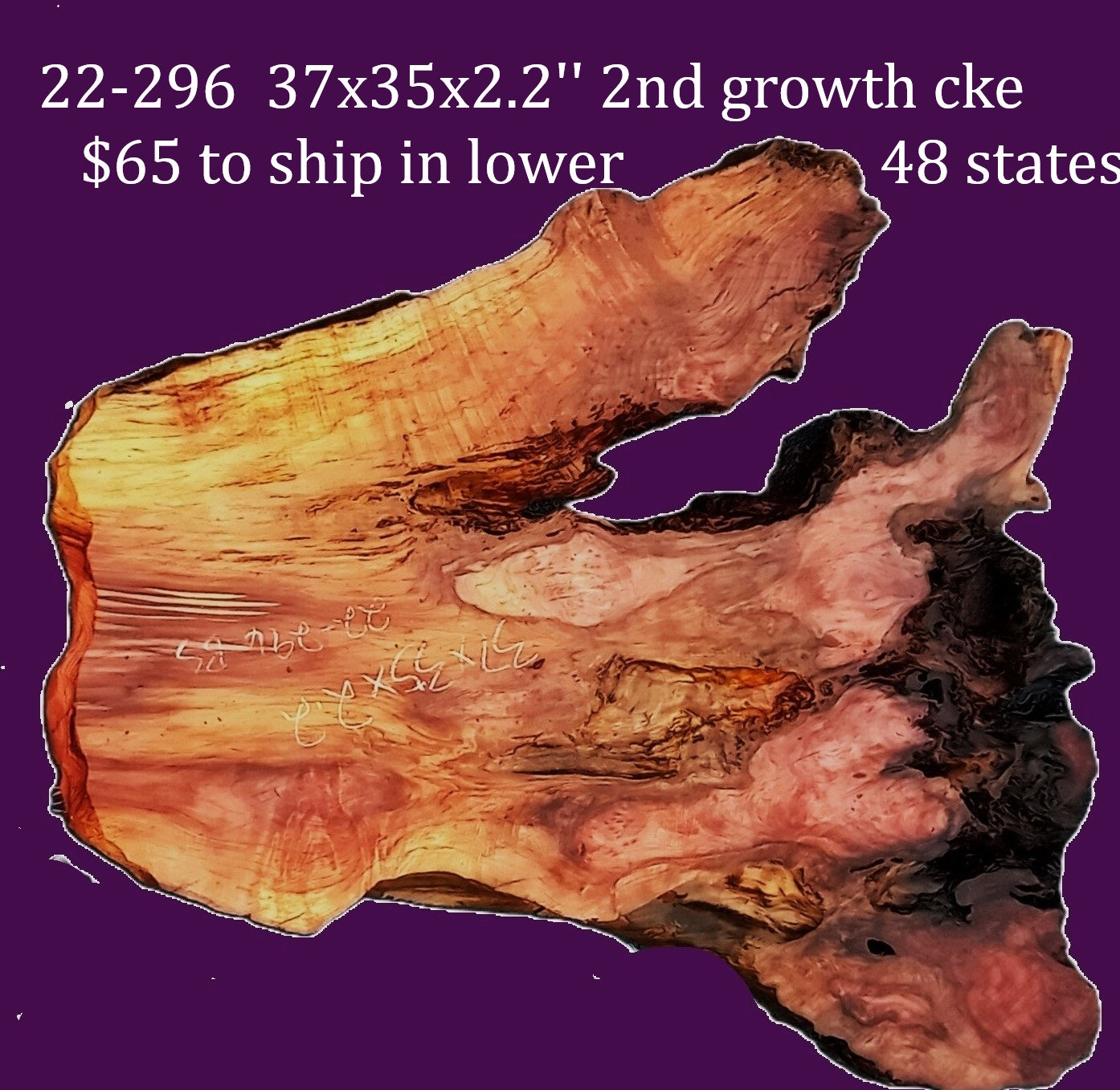 Redwood burl slab | DIY | burl table | burl slab | second growth | 22-295