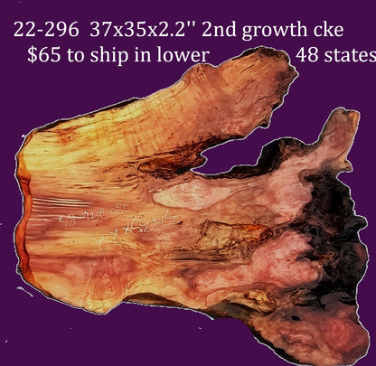 Redwood burl slab | DIY | burl table | burl slab | second growth | 22-295