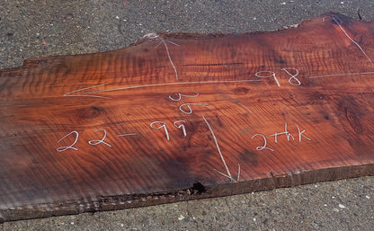 Curly Redwood Slab | Table | Bar | DIY | 22-99