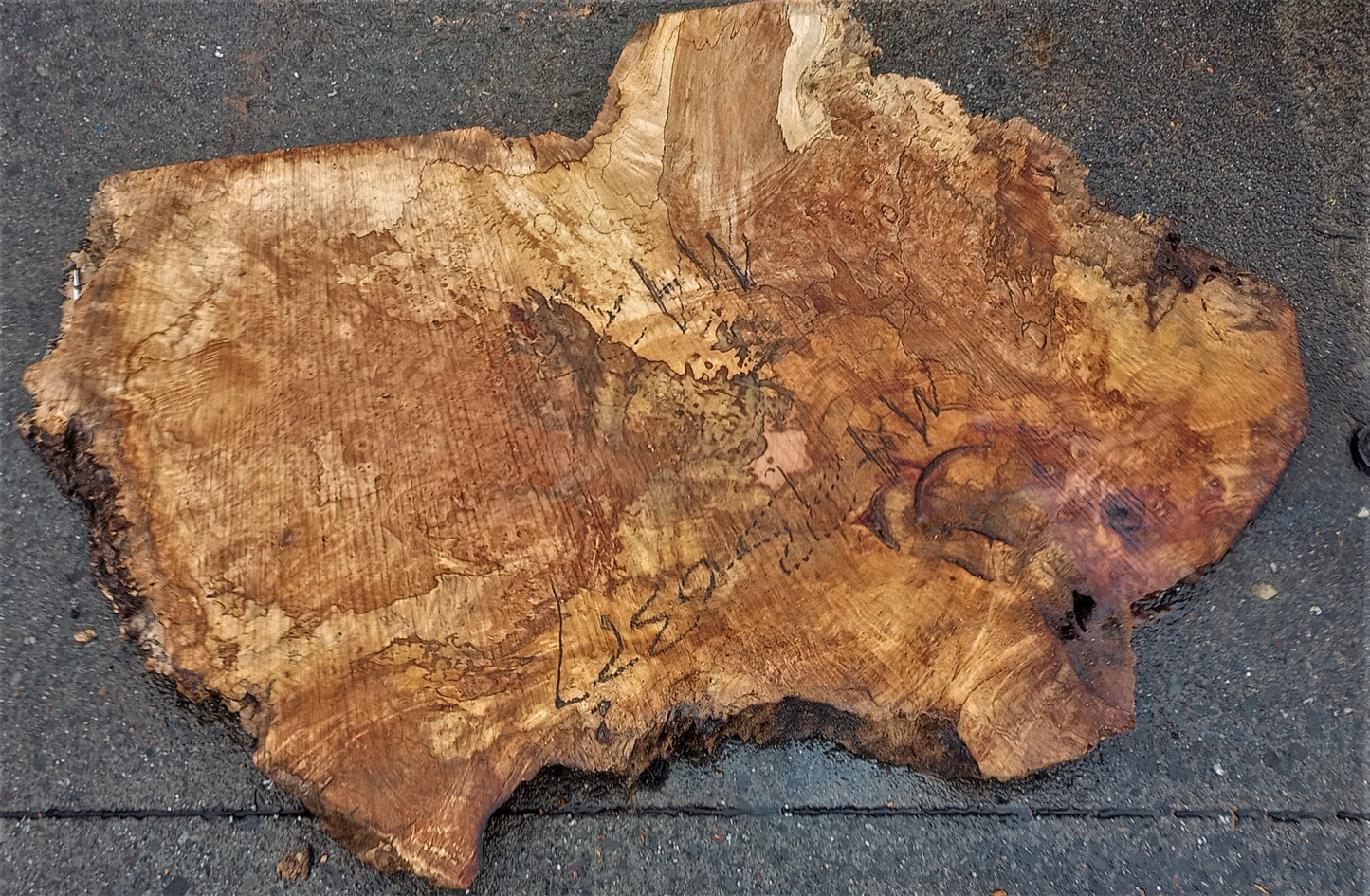 Myrtle burl | burl table | exotic wood | epoxy river table | DIY | mrt23-0377