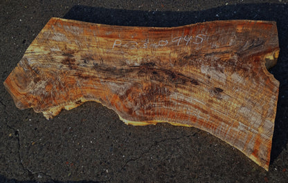 Poplar/Cotton Wood | Craft Wood| DIY | River Table | P23-0945