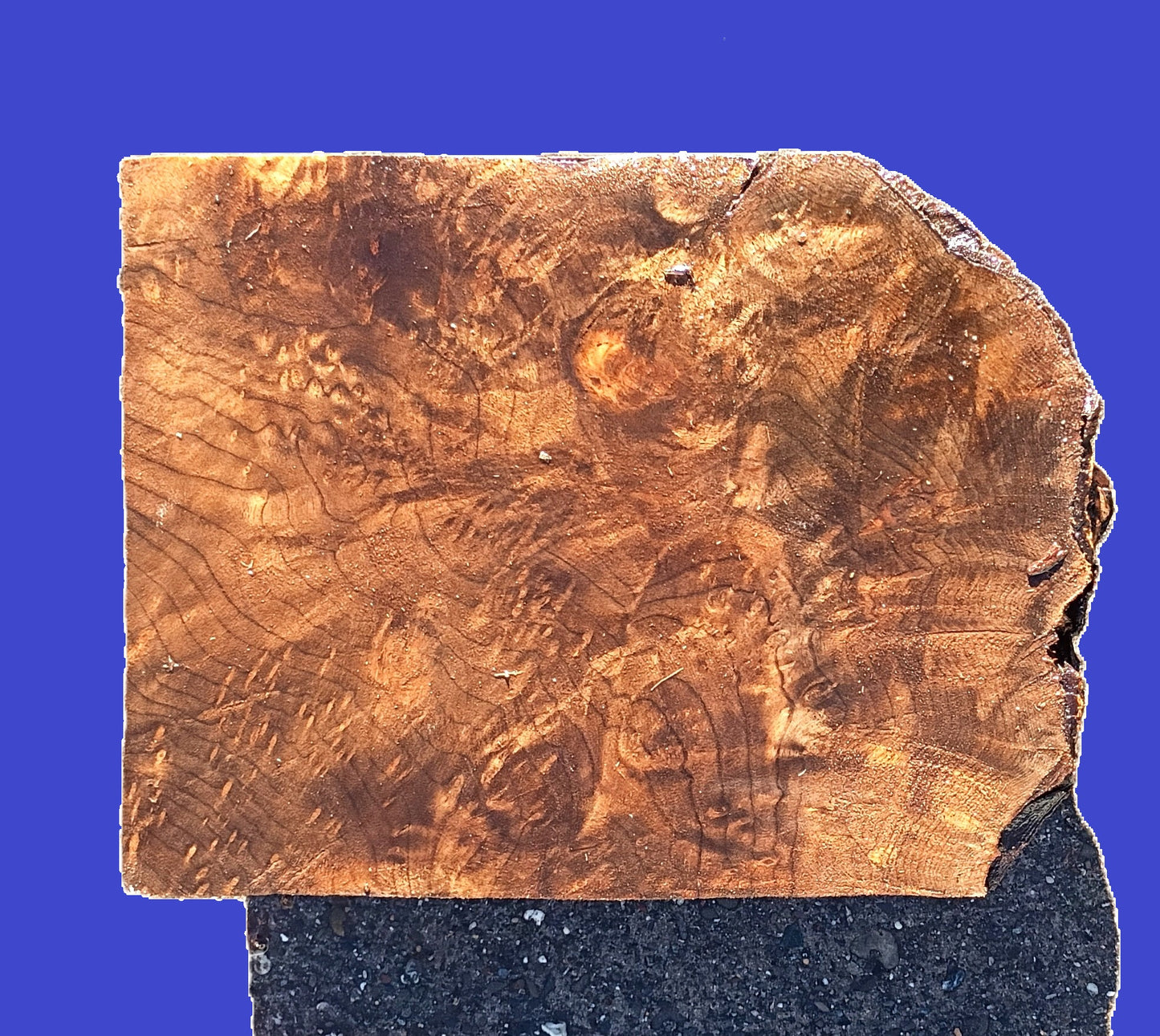 Maple burl Block | Turning | DIY Craft Wood | bowl turning | ma23-1135