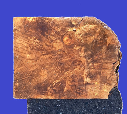 Maple burl Block | Turning | DIY Craft Wood | bowl turning | ma23-1135