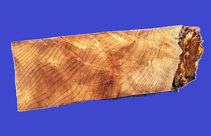 Maple burl Block | Turning | DIY Craft Wood | bowl turning | ma23-1135