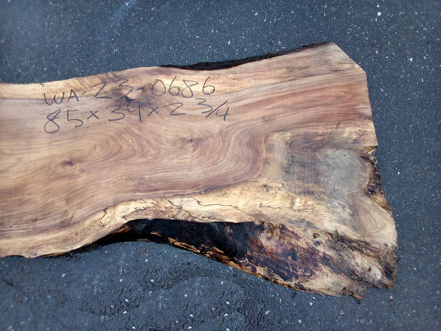 grafted Walnut slab | Live Edge Slab | epoxy river table | 23wal-0686