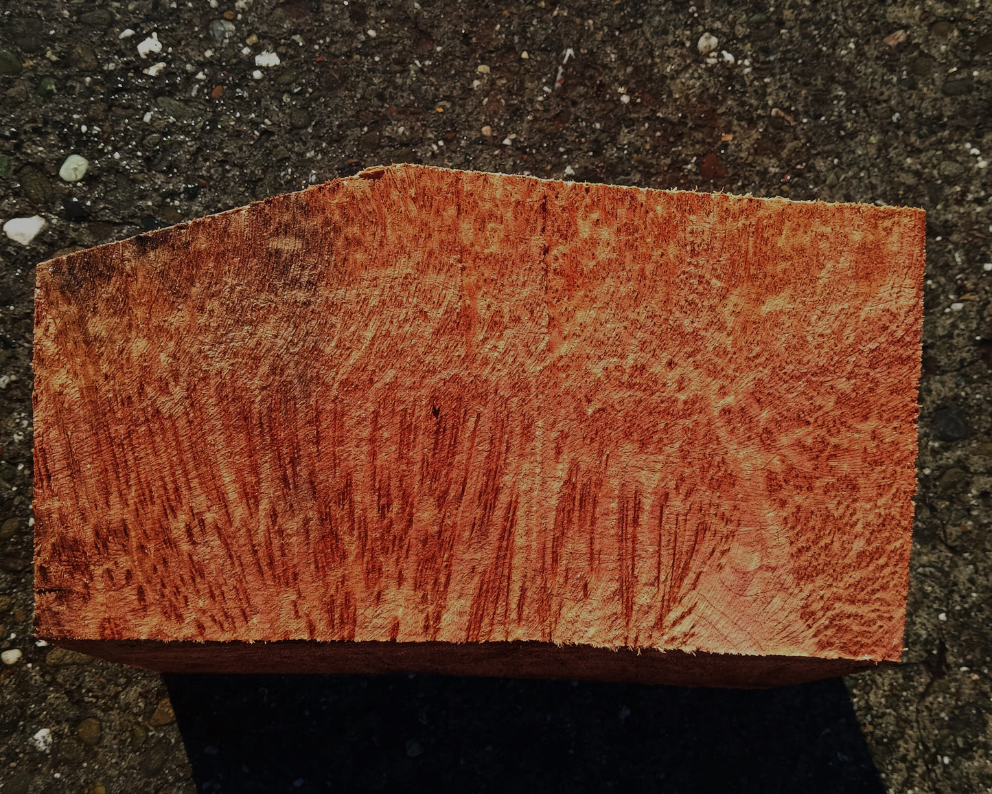 Redwood Burl | Turning Wood | DIY Crafts | r24-1848