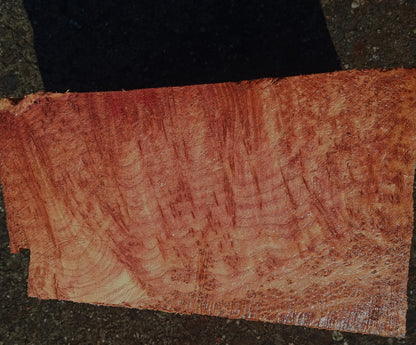 Redwood Burl | Turning Wood | DIY Crafts | r24-1848