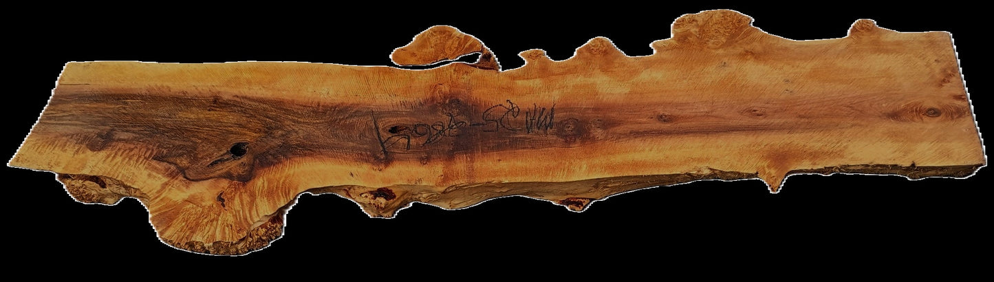 Maple Burl | Live Edge Slab | River Table | DIY | MA25-2864