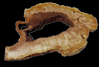 Maple Burl | Live Edge Slab | River Table | DIY | MA25-2901