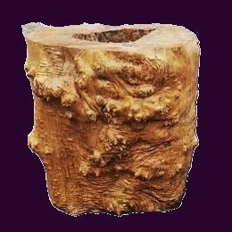 Maple burl base #2 | cluster Maple burl base | for glass or wood top |