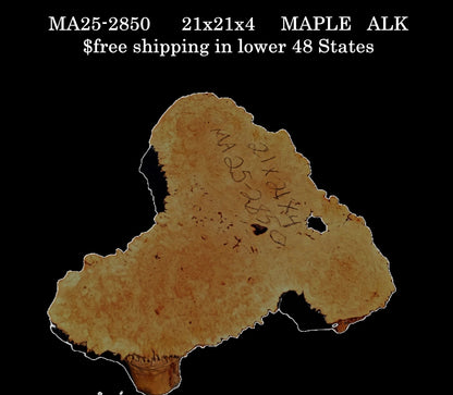 Maple Burl | Live Edge Slab | River Table | DIY | MA25-2850