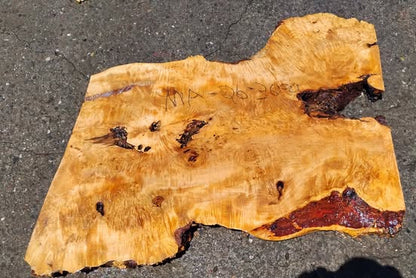 Maple Burl | DIY | Table | Craft-wood | ma26-3600