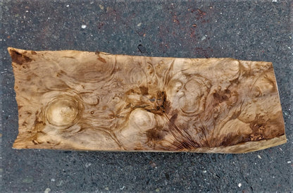 Myrtle burl | exotic wood | wood turning | DIY wood crafts | bl23-0246
