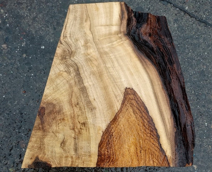 Myrtle burl | exotic wood | wood turning | DIY wood crafts | bl23-0239-mrt