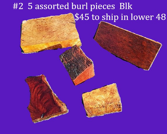 5-Piece Burl Wood Lot — Redwood & Maple Mix, Live Edge & Cut Slabs — Woodworking Blanks