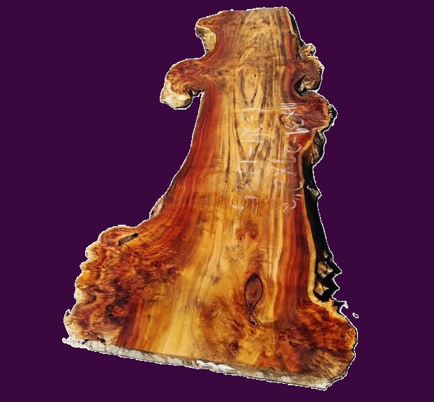Mappa burl slab | DIY | burl table | river table | craft wood | C24-1231