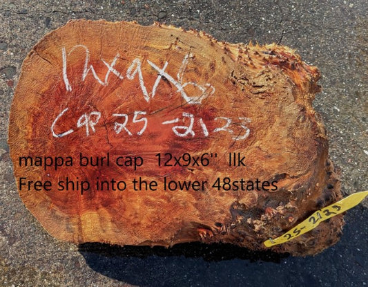 Mappa Burl Cap | Live Edge |  DIY Crafts | Wood Turning | Bowl Turning | CAP25-2123