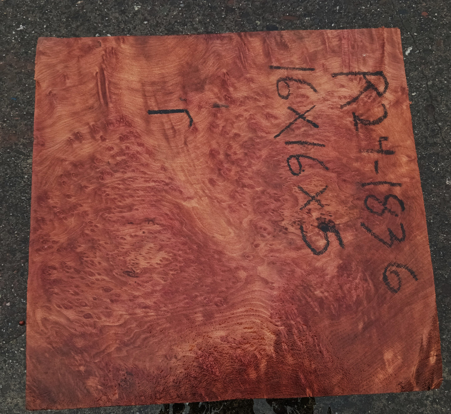 Redwood Burl | Turning block | Craft Wood | R24-1838