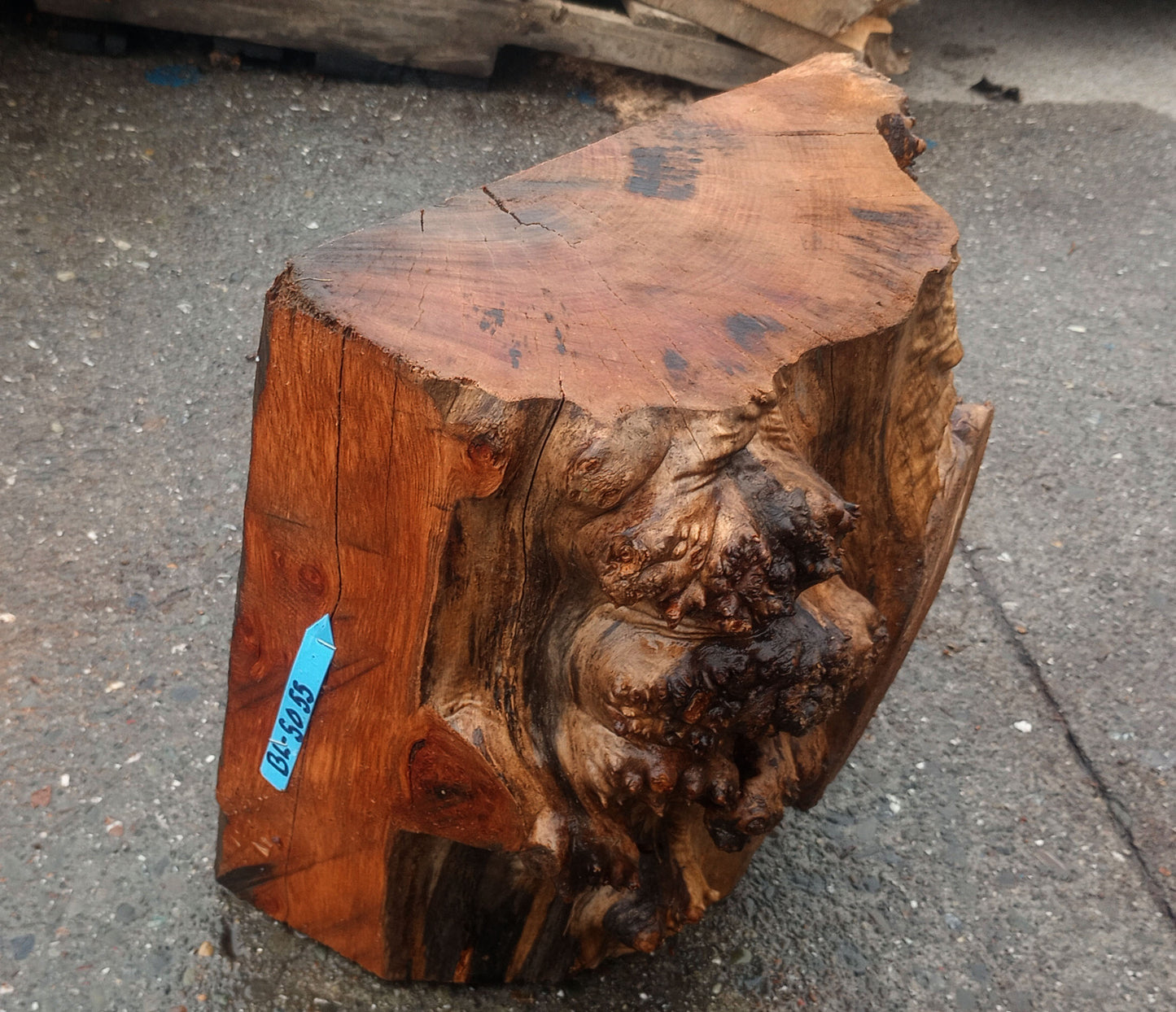 Myrtle burl | DIY wood crafts | bowl turning | craft wood | bl5055
