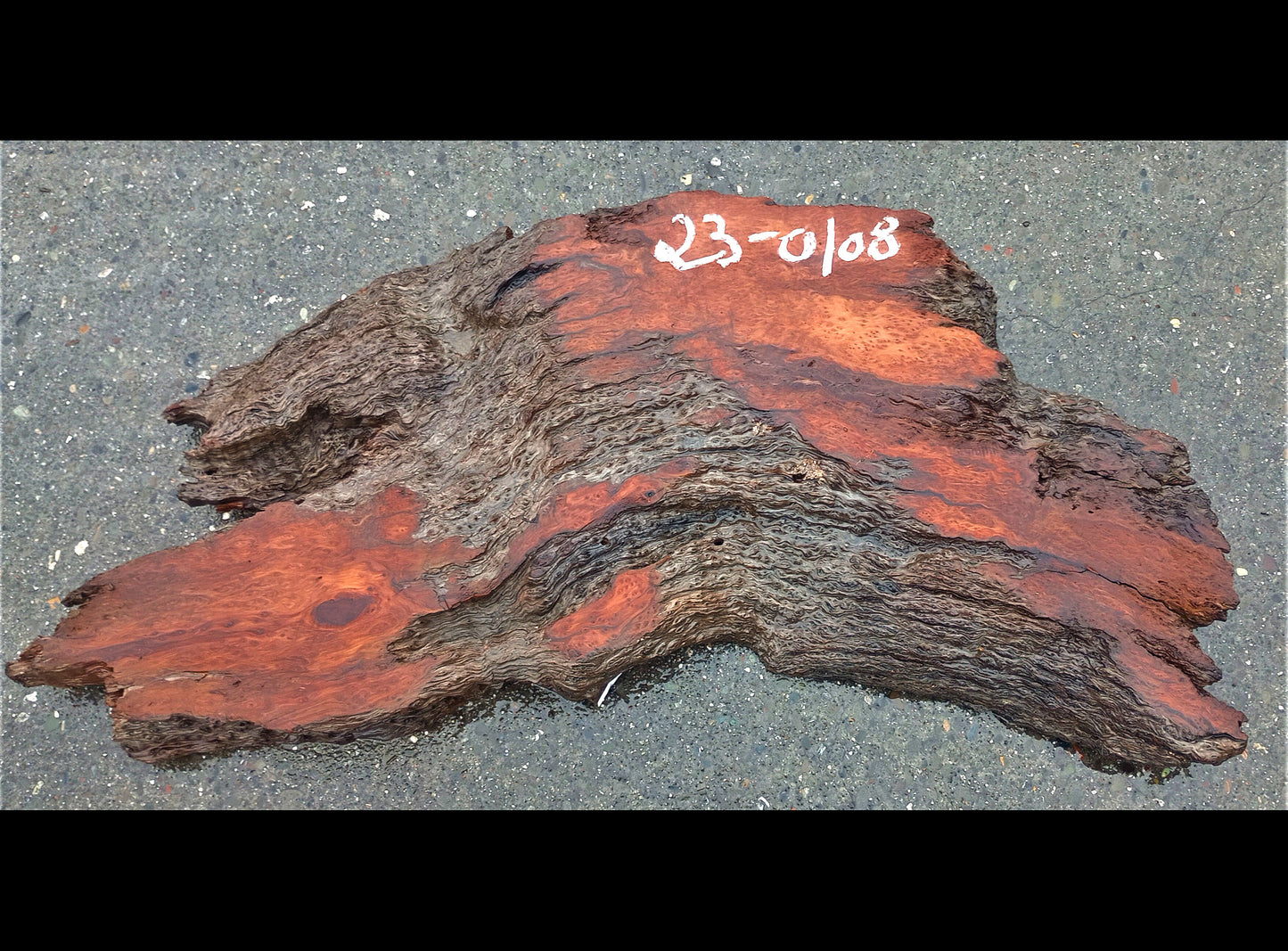 Old growth lace burl redwood l river table | live edge slab | r-23-0108