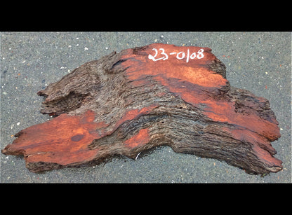 Old growth lace burl redwood l river table | live edge slab | r-23-0108