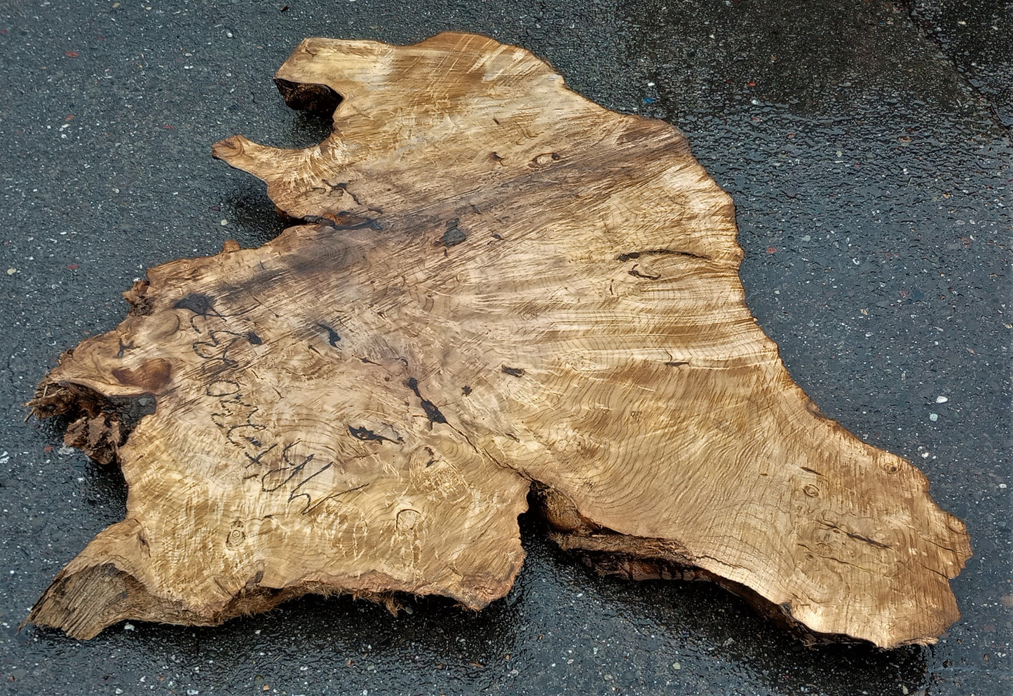 Myrtle burl | epoxy river table | exotic wood | Bay Laurel | DIY | mrt23-0237