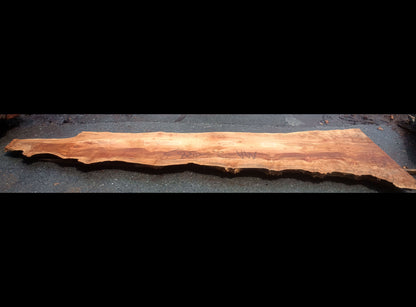 Maple burl | epoxy river table | live edge slab | DIY ideas | ma23-0383