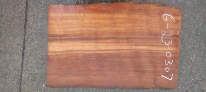 Redwood Guitar Slab | DIY Crafts | Luthier Wood | G23-0367